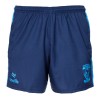 2023 Summer Blue Shorts