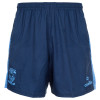 2024 Summer Blue Shorts